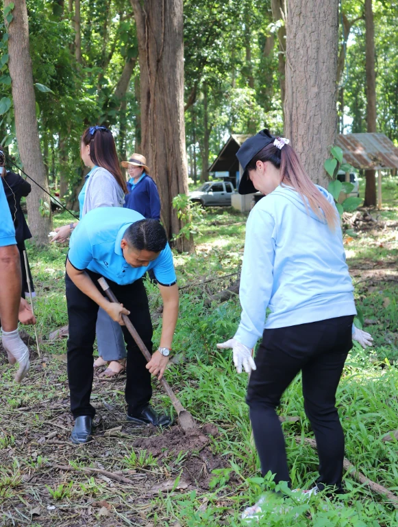 catalogs_file_619_51_41_461249.webp